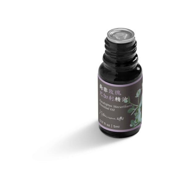 南非玫瑰尤加利精油：圖片 5
