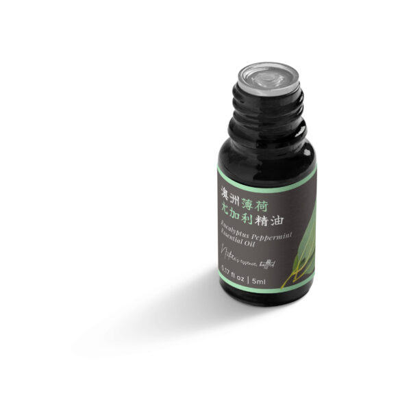 澳洲薄荷尤加利精油：圖片 5