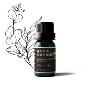 澳洲西澳（柯奇）尤加利精油 - 5ml
