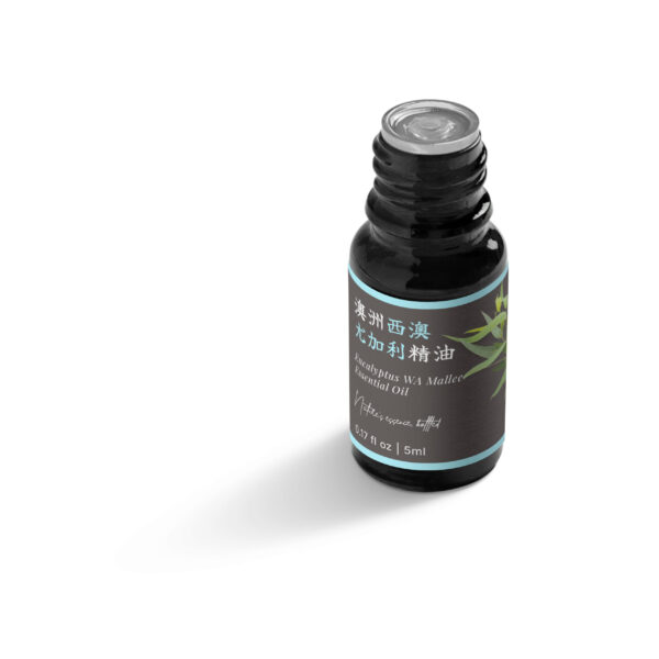 澳洲西澳（柯奇）尤加利精油：圖片 5