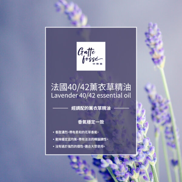 法國40/42薰衣草精油：圖片 2