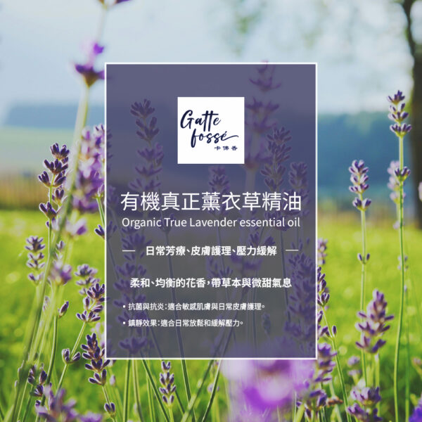 有機真正薰衣草精油：圖片 2