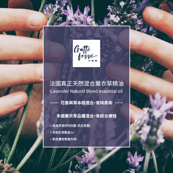法國真正天然混合薰衣草精油：圖片 2
