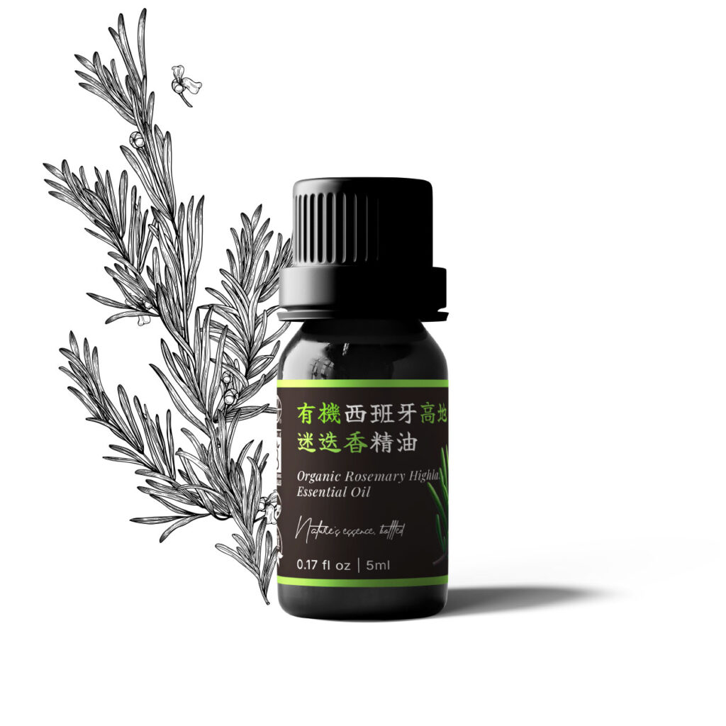 有機西班牙高地迷迭香精油
