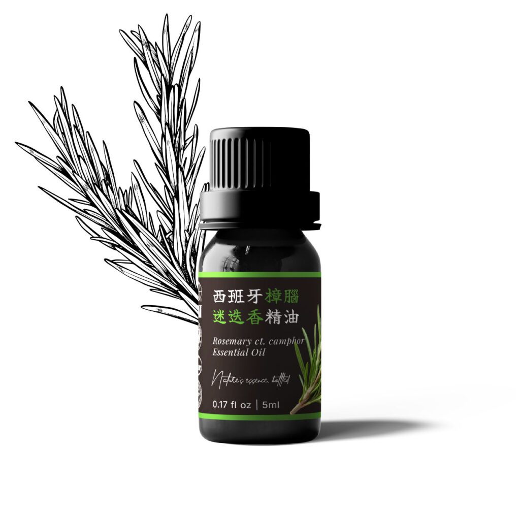西班牙樟腦迷迭香精油