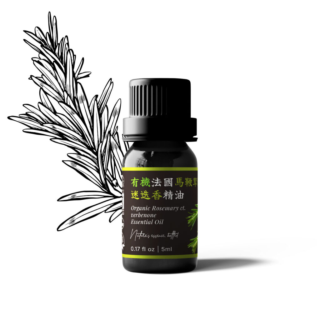 有機法國馬鞭草酮迷迭香精油