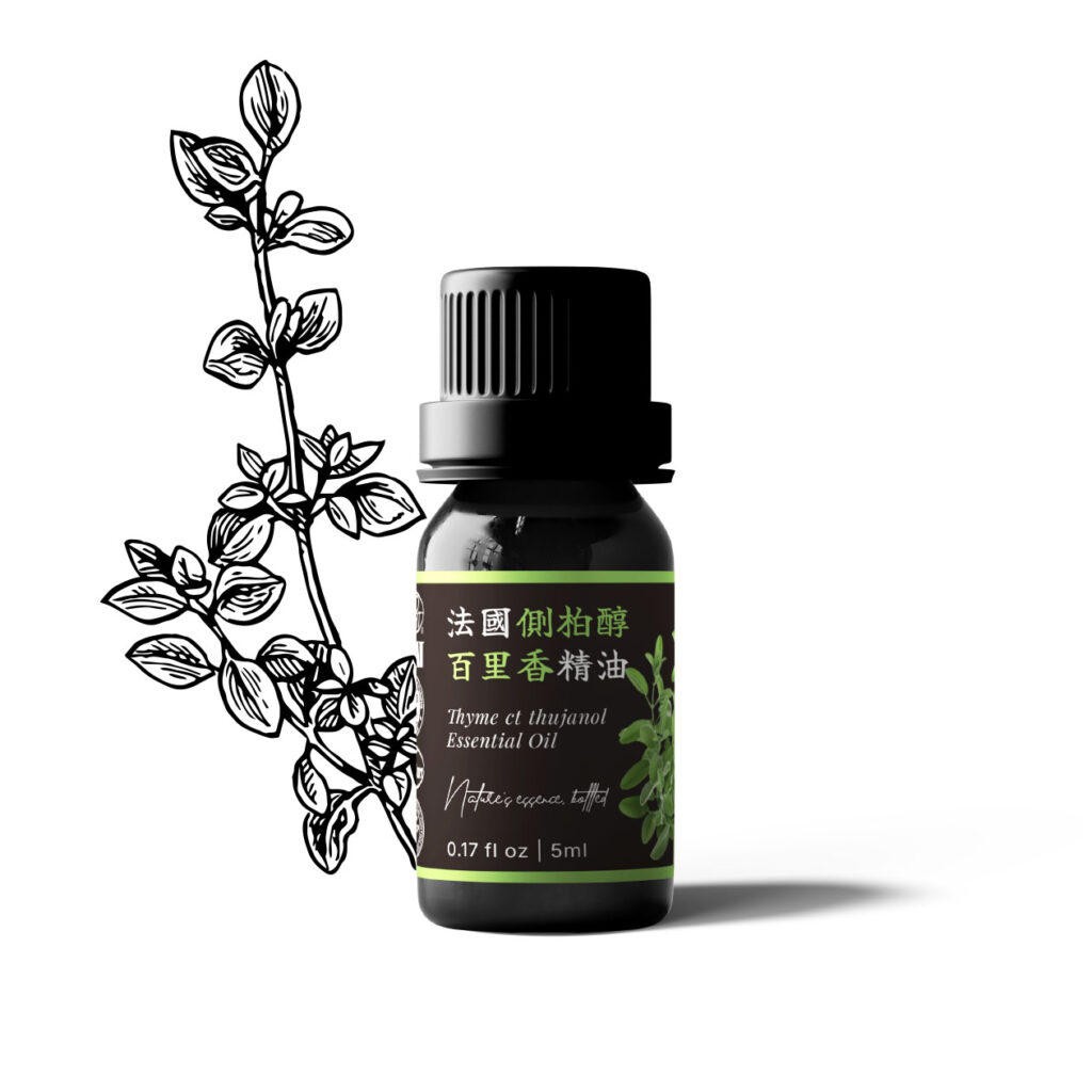 法國側柏醇百里香精油