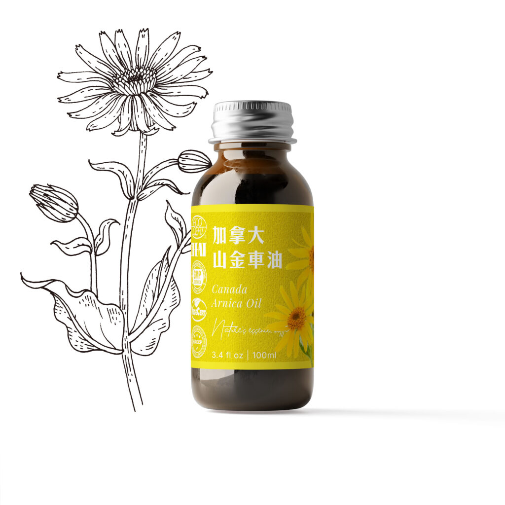 山金車浸泡油(加拿大)-100ml <br>有機向日葵籽油