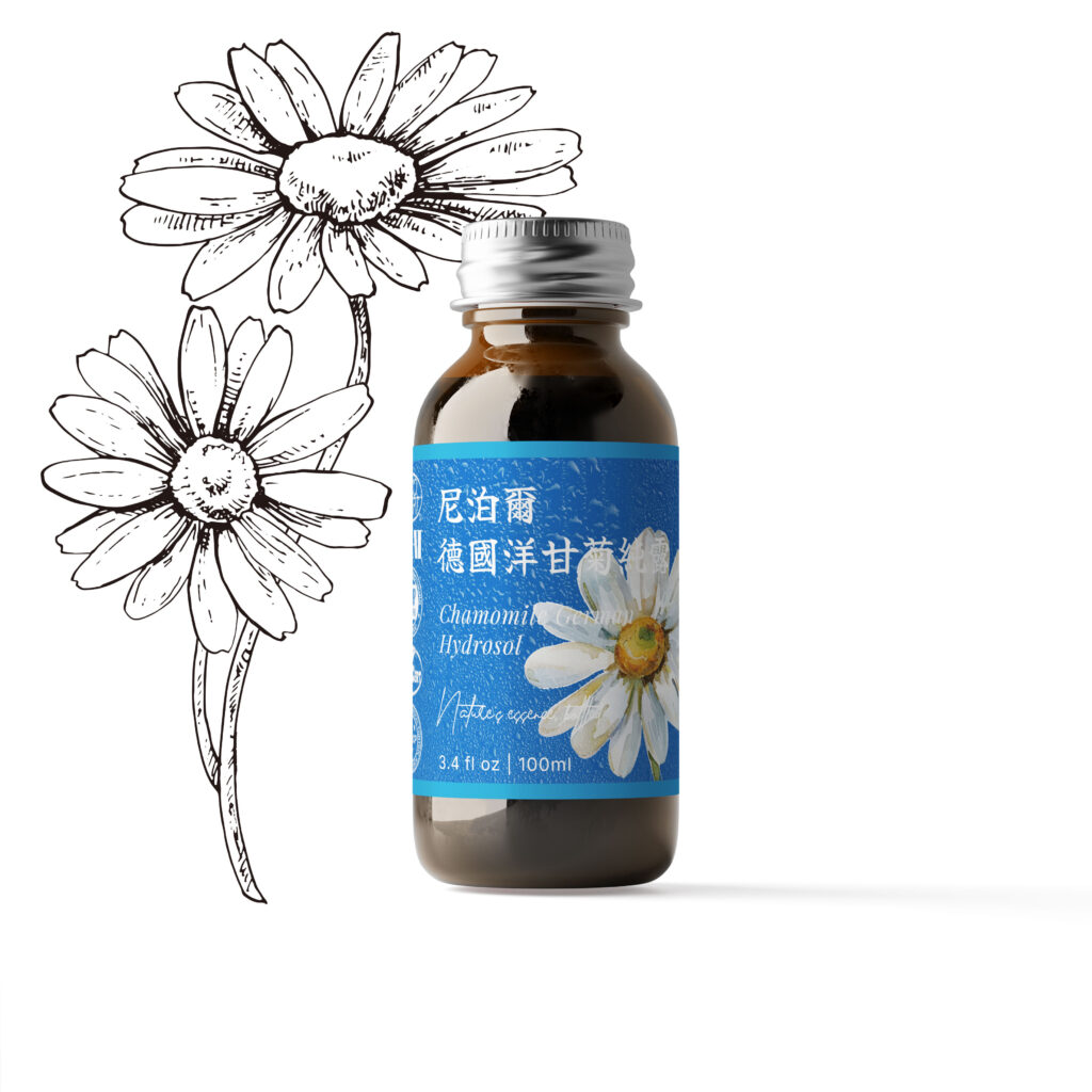 特級－尼泊爾德國洋甘菊純露