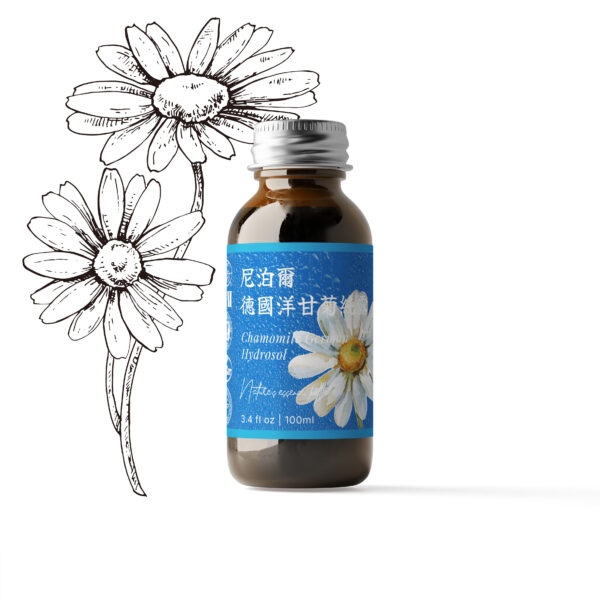 特級－尼泊爾德國洋甘菊純露