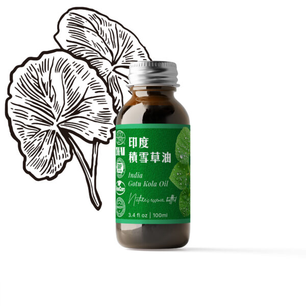 印度積雪草浸泡油