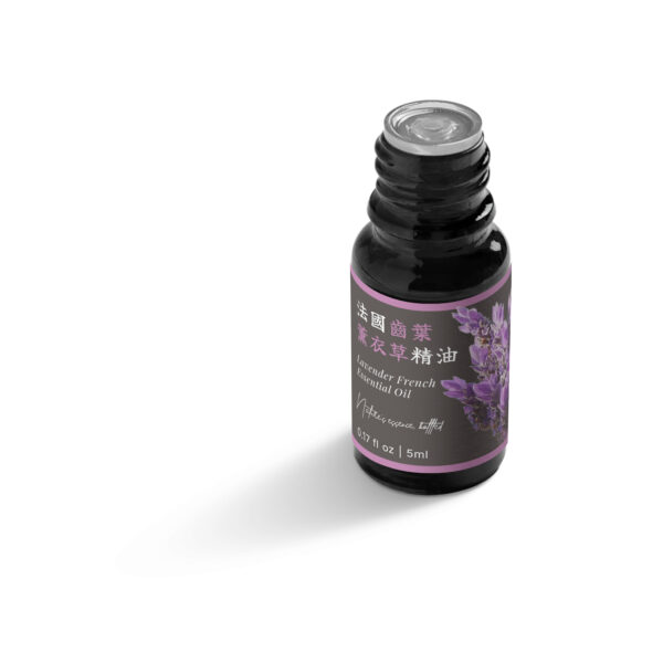 法國齒葉薰衣草精油：圖片 5