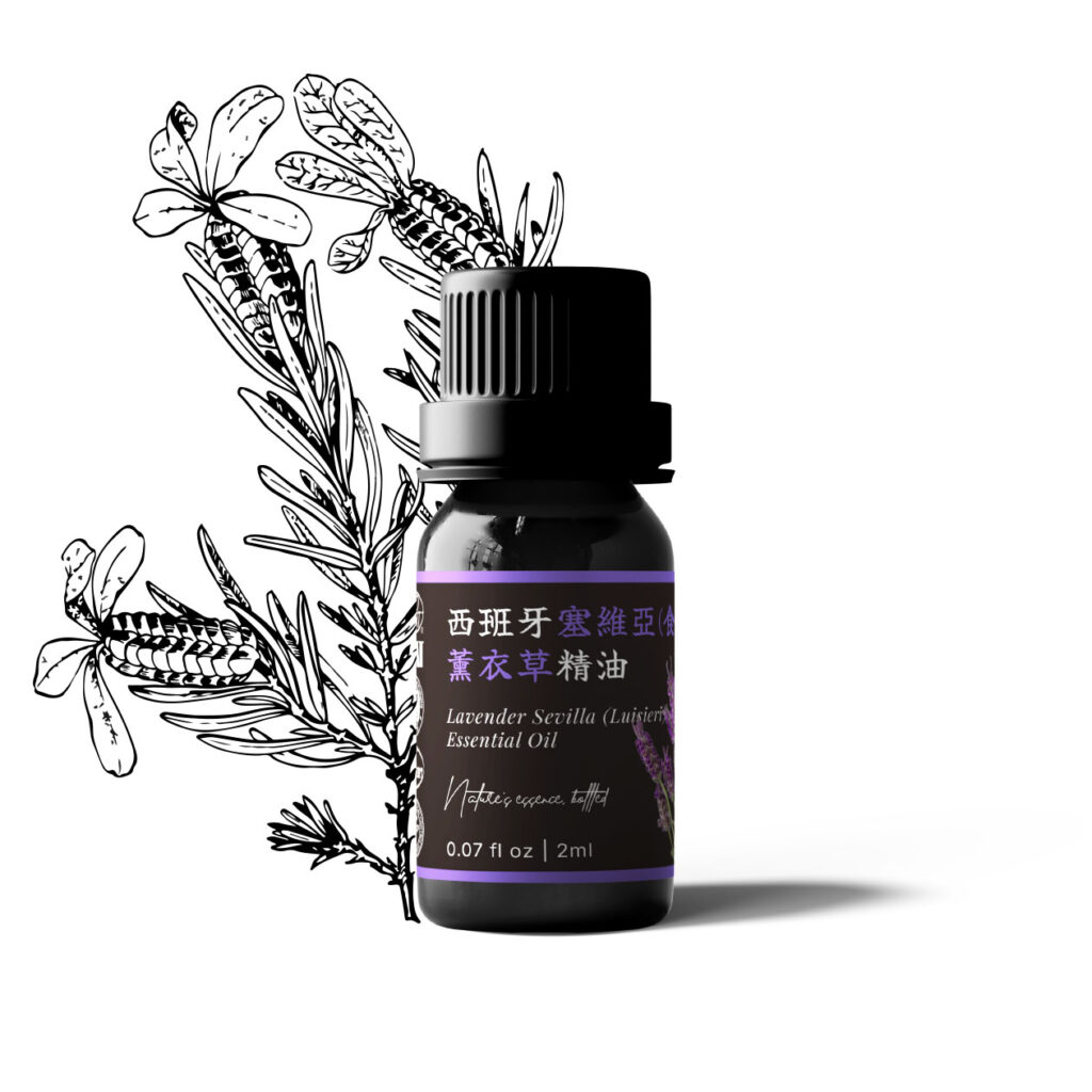 西班牙塞維亞(食屍醇)薰衣草精油