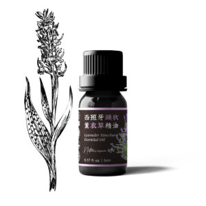 西班牙頭狀薰衣草精油