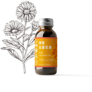 印度金盞花浸泡油