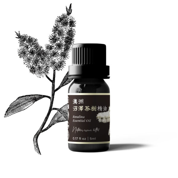 澳洲沼澤茶樹精油