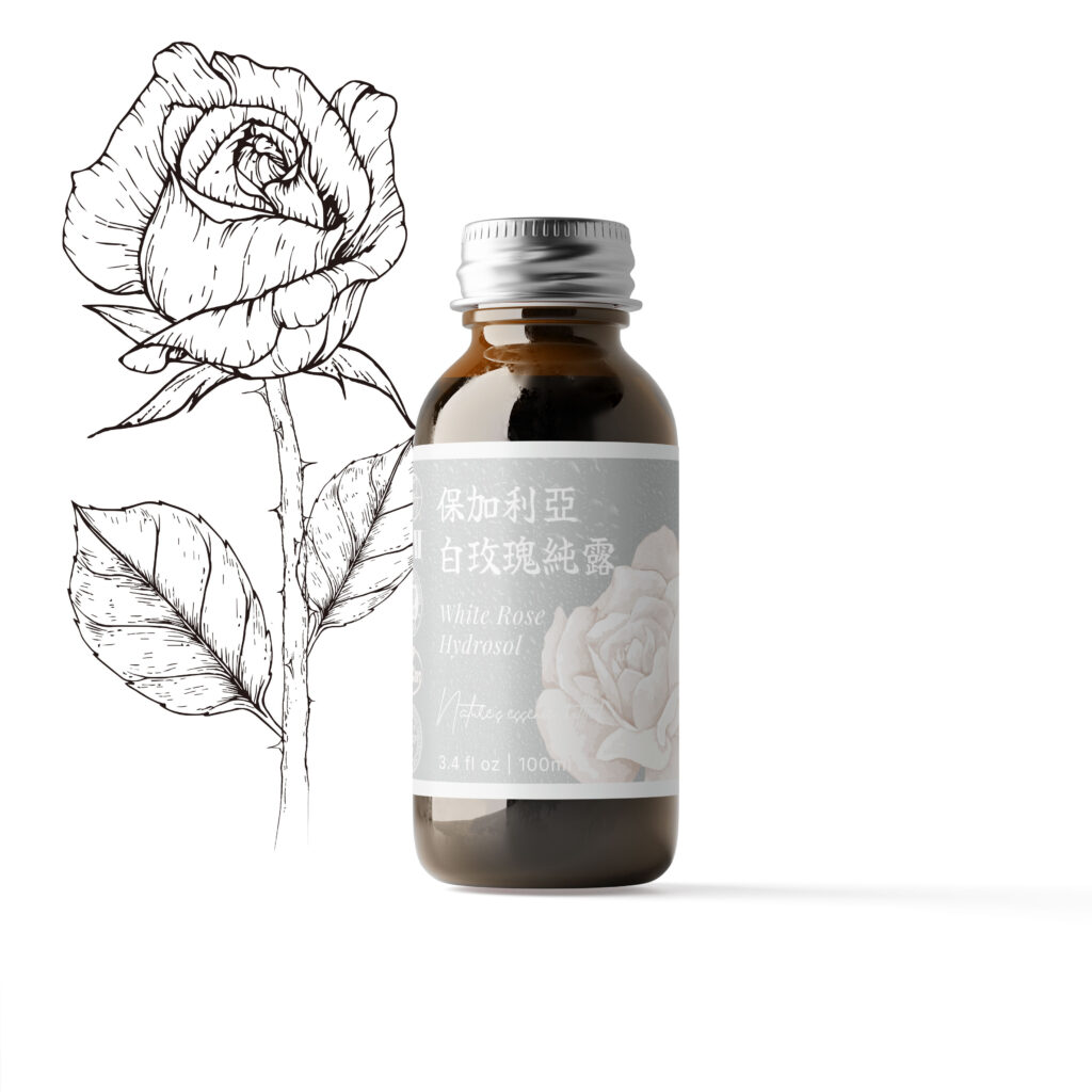 特級-白玫瑰純露(保加利亞)-100ml