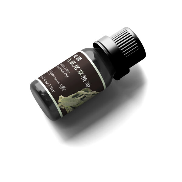 美國白鼠尾草精油：圖片 4