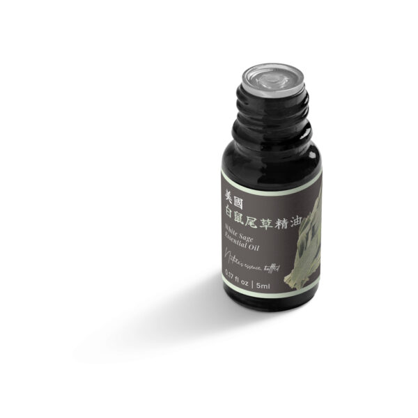 美國白鼠尾草精油：圖片 5