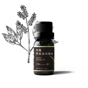 印度阿米香樹精油