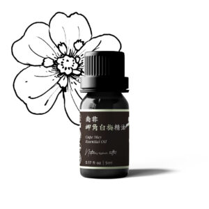 南非岬角白梅精油