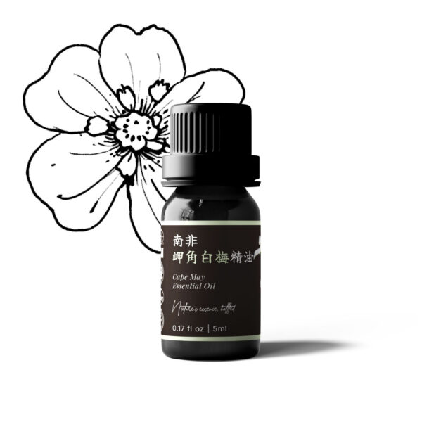 南非岬角白梅精油