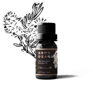 南非岬角雪灌木精油