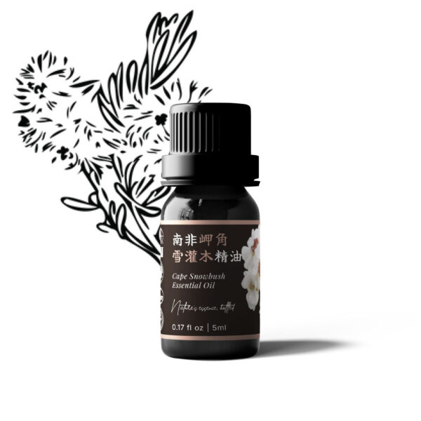 南非岬角雪灌木精油