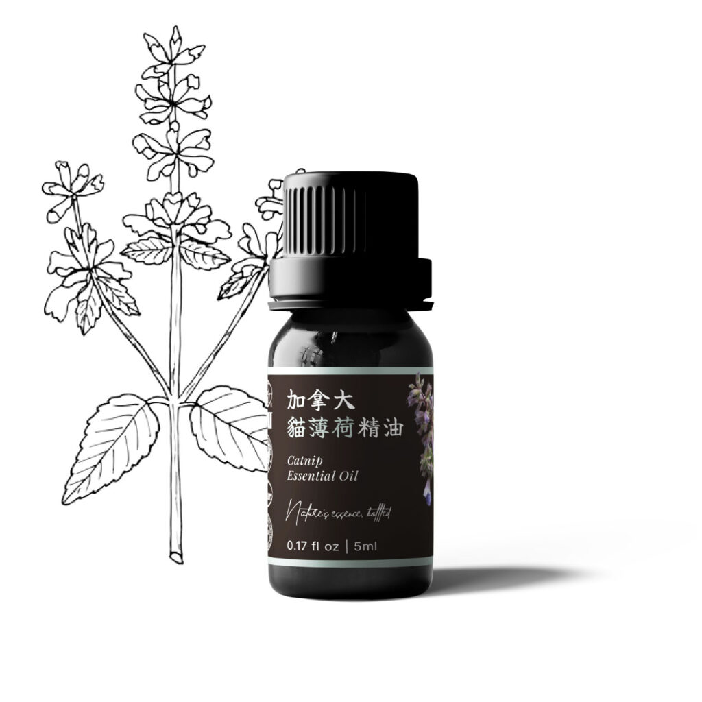 加拿大貓薄荷精油