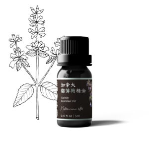 加拿大貓薄荷精油
