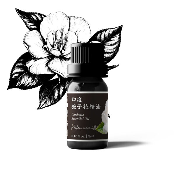 印度梔子花精油