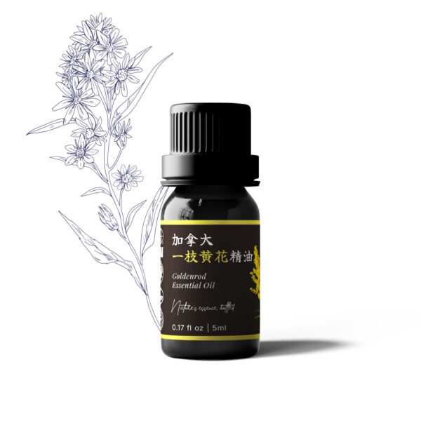 加拿大一枝黃花精油