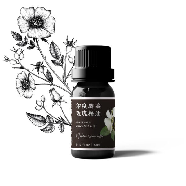 印度麝香玫瑰精油