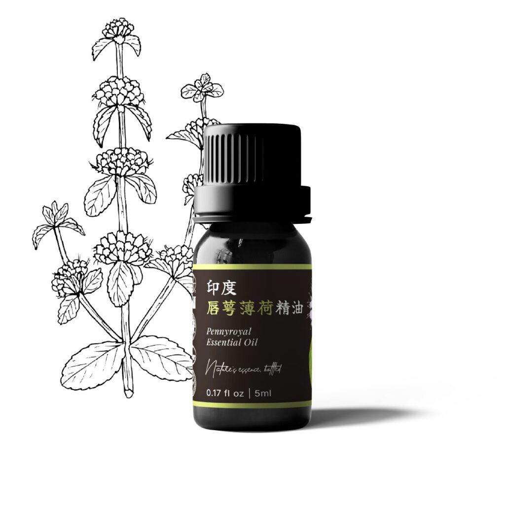 印度唇顎薄荷(胡薄荷)精油