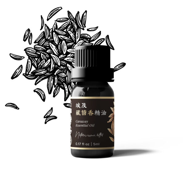 埃及藏茴香精油