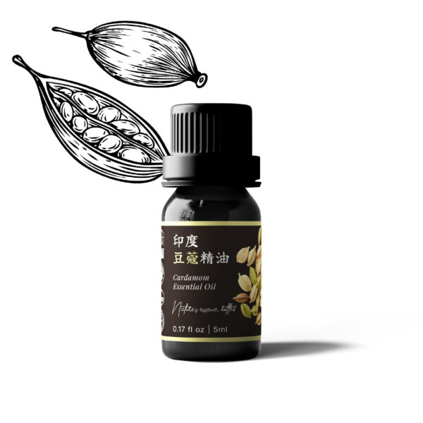 印度豆蔻精油