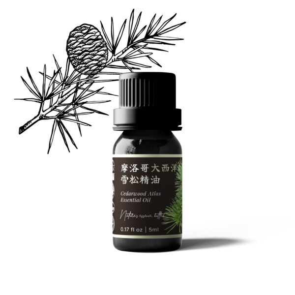 摩洛哥大西洋雪松精油