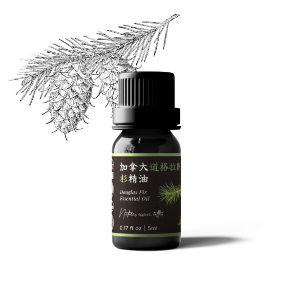 加拿大道格拉斯杉精油
