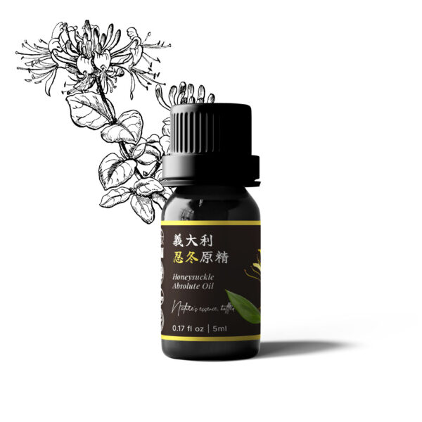義大利忍冬原精
