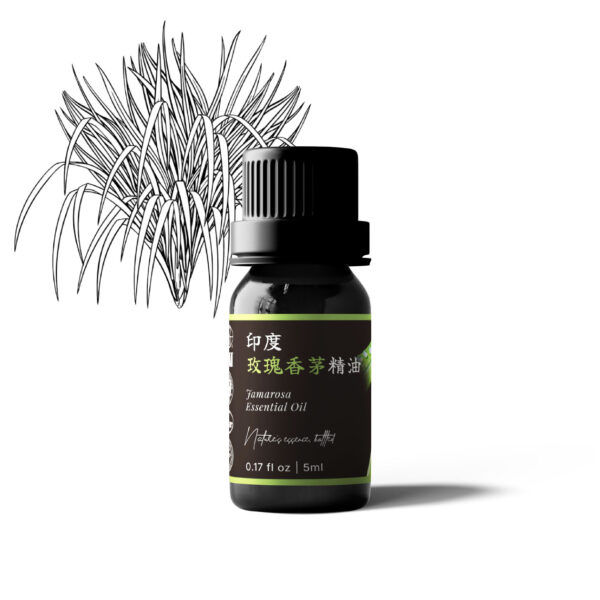 印度玫瑰香茅精油