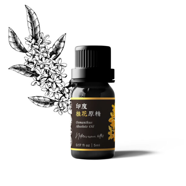 印度桂花原精