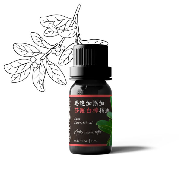 馬達加斯加莎羅白樟精油