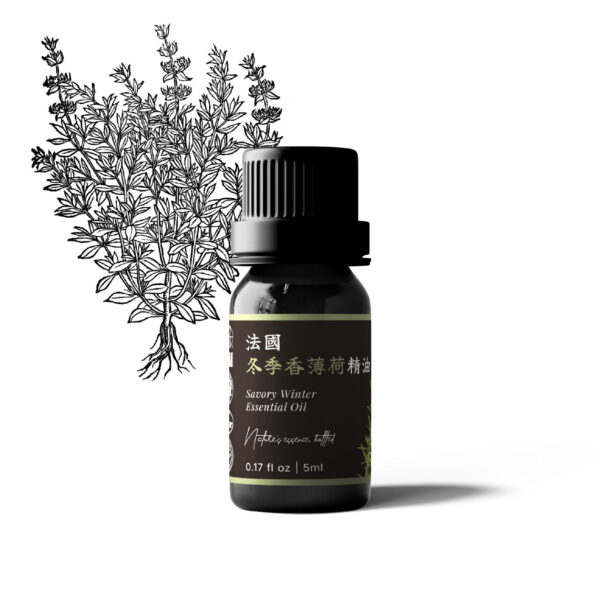 法國冬季香薄荷精油