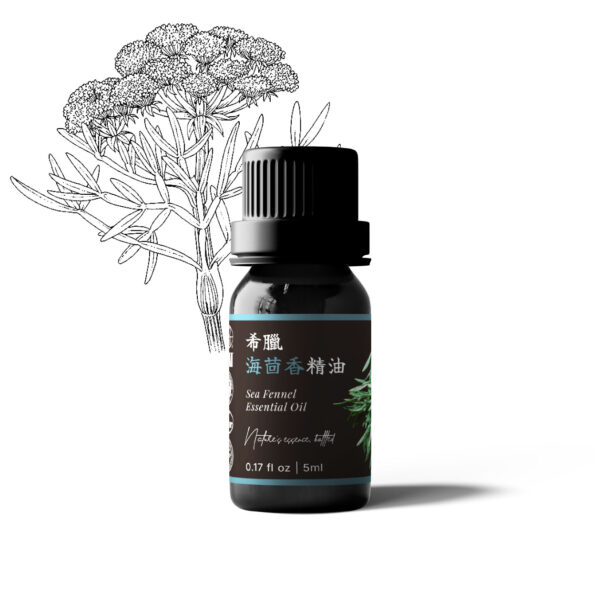 希臘海茴香精油