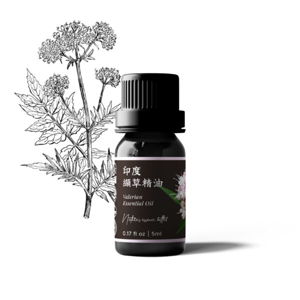 印度纈草精油