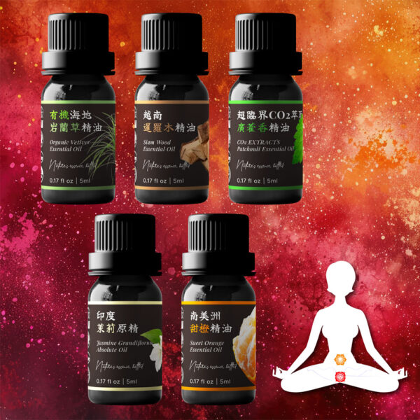 【落地感受組】<br>海底輪 × 臍輪<br>安全感與情緒流動的起點