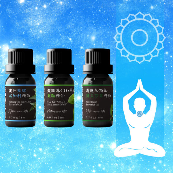 喉輪・真實之聲<br>藍膠尤加利 × 羅勒 × 羅文莎葉 精油組