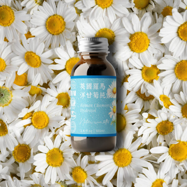 特級－英國羅馬洋甘菊純露：圖片 4