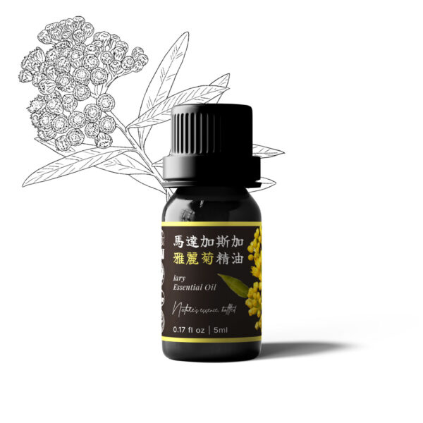 馬達加斯加雅麗菊精油