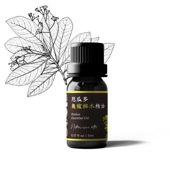 厄瓜多奧寇梯木精油